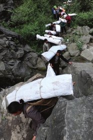 芦山地震已致196人死亡 灾区学校拟全部复课