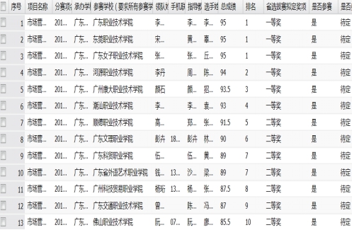 获奖结果