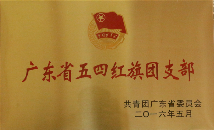 财会金融系团总支荣获“广东省五四红旗团支部”