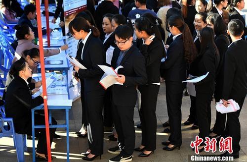 资料图：毕业生双向选择洽谈会。中新社记者 李进红 摄