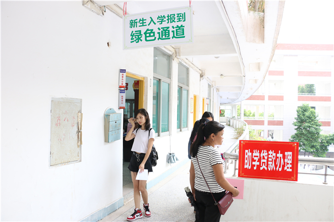 绿色通道